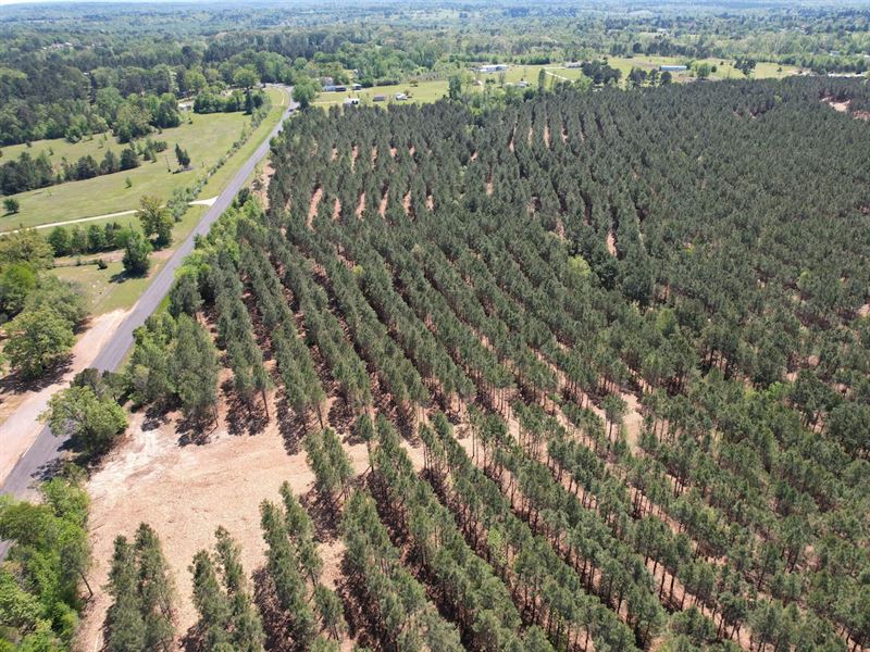 5 Acres Gladewater, TX Lot : Gladewater : Smith County : Texas