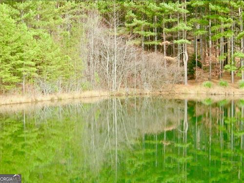 .63 Acre Lake Lot in The Orchard G : Clarkesville : Habersham County : Georgia