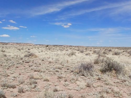 Build Your Home in The Desert : Sanders : Apache County : Arizona