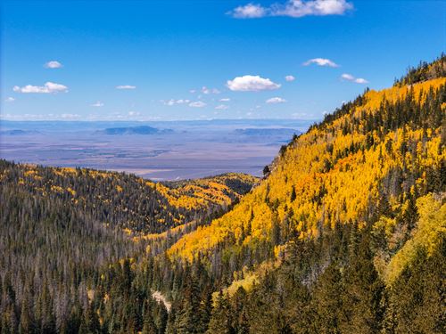 Private Treed Rocky Mountain Land : Fort Garland : Costilla County : Colorado