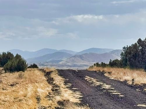 Retire From Landlords : Concho : Apache County : Arizona