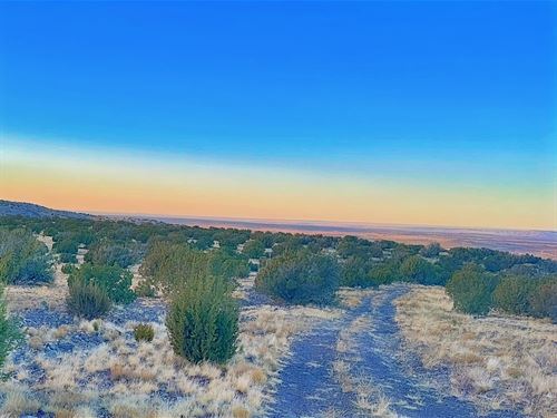 Walk to Concho Falls & Concho Lake : Concho : Apache County : Arizona