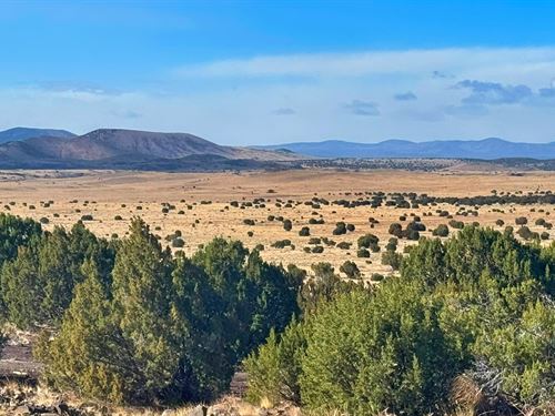 Views for Days : Concho : Apache County : Arizona