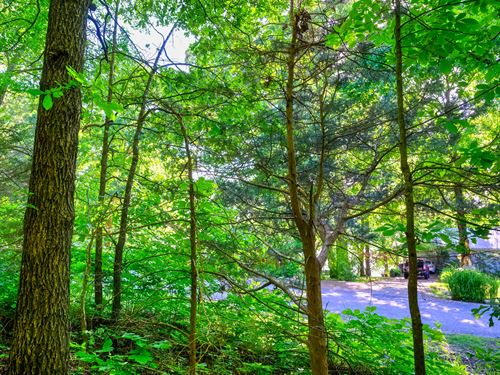Your Familys Lake Haven : Horseshoe Bend : Izard County : Arkansas
