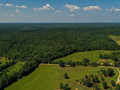 Whiteoak's, Whitetails, And Gobbler : Falkner : Benton County : Mississippi