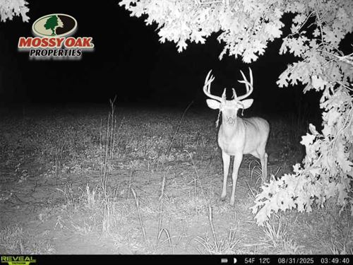 55 Acres / 100 N 600 E Knox : Knox : Starke County : Indiana