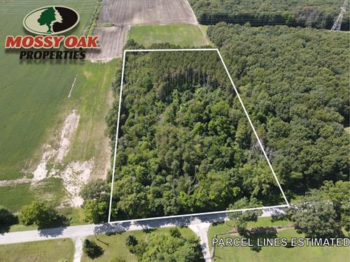 6 Acres / Potential Buildable : Knox : Starke County : Indiana