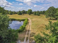 20 Acres of Prime Land in Sikest : Sikeston : Scott County : Missouri