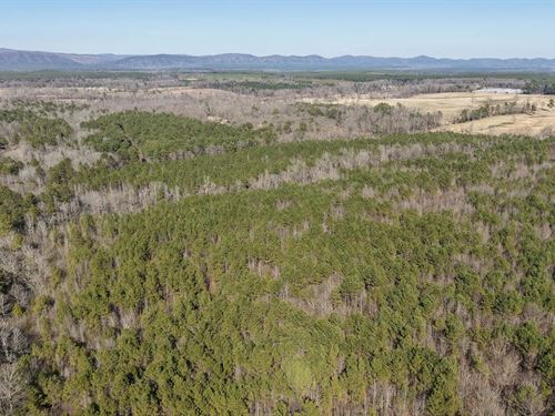 115 Acres In Howard County, AR : Newhope : Howard County : Arkansas