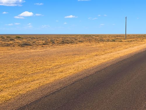 Lot with Plethora of Possibilities : Deming : Luna County : New Mexico