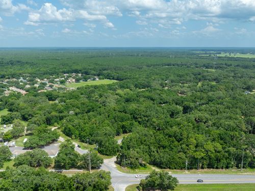 1.25 Acres in Dunnellon, FL : Dunnellon : Marion County : Florida