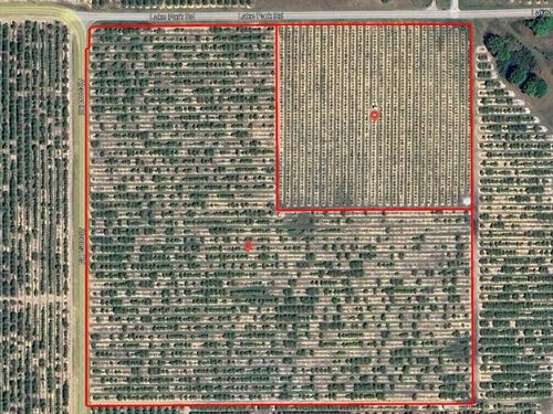 38.5 Acres in Lake Wales : Lake Wales : Polk County : Florida