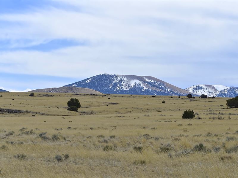 Build Home, No HOA, Camp & Park RV : Concho : Apache County : Arizona