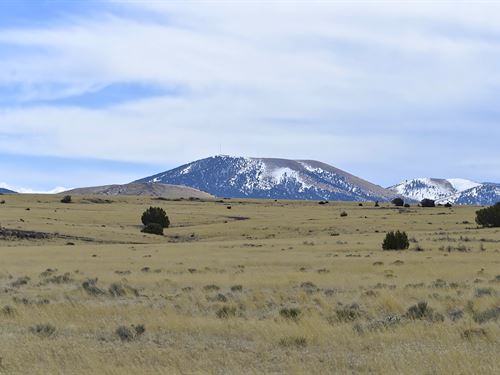 Hike, Camp, & Utv Adventure Allowed : Concho : Apache County : Arizona