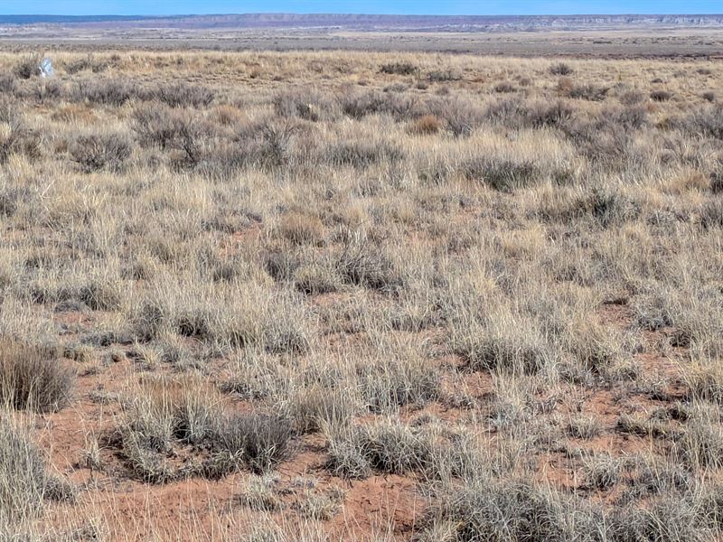 Residential Lot, Camping & No HOA : Arizona City : Apache County : Arizona