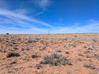 Buildable Commercial Establishment : Holbrook : Apache County : Arizona