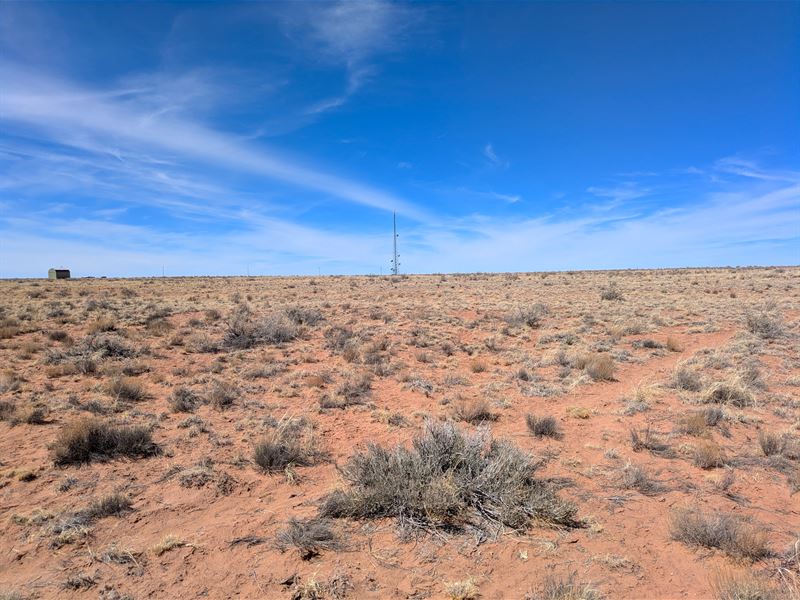 Adventures with No HOA & Low Taxes : Holbrook : Apache County : Arizona