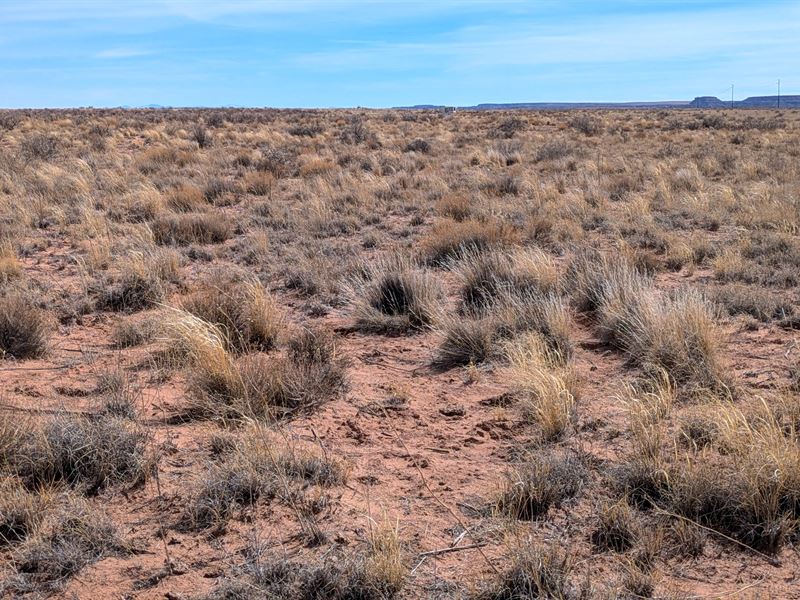 Build in NO HOA Desert Residential : Arizona City : Apache County : Arizona