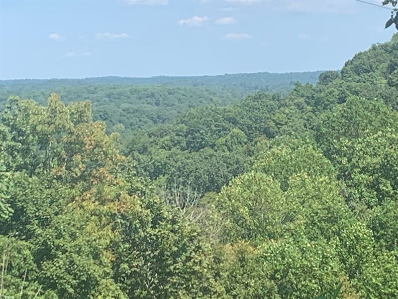 102.08 Acres in Edmonton, Kentucky : Edmonton : Metcalfe County : Kentucky