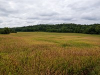 96 Ac in Ohio County, Ky-Blend : Olaton : Ohio County : Kentucky