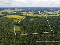 96 Ac in Ohio County, Ky-Blend : Olaton : Ohio County : Kentucky