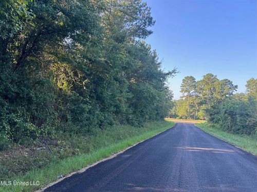 1.47 Acre Lot in North Pike Schoo : Summit : Pike County : Mississippi