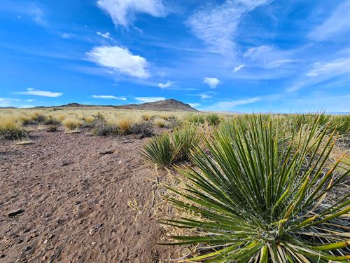 Camp on Your Colorado Buildable Lot : Colorado City : Costilla County : Colorado