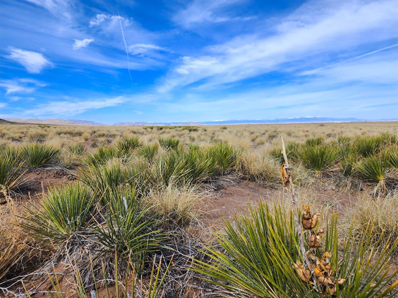 Build Tiny & Mobile Home, Camping : Colorado City : Costilla County : Colorado