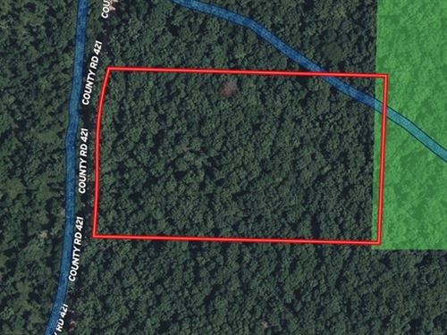 Prime Ozarks Hunting Acreage : Birch Tree : Shannon County : Missouri