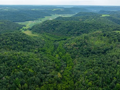 80 Acres Chippewa County : New Auburn : Chippewa County : Wisconsin