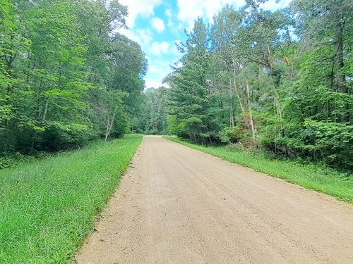 This 0.69 Acre Is Ready for You : Browerville : Todd County : Minnesota