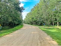 Your Sylvan Shores Land Awaits : Browerville : Todd County : Minnesota