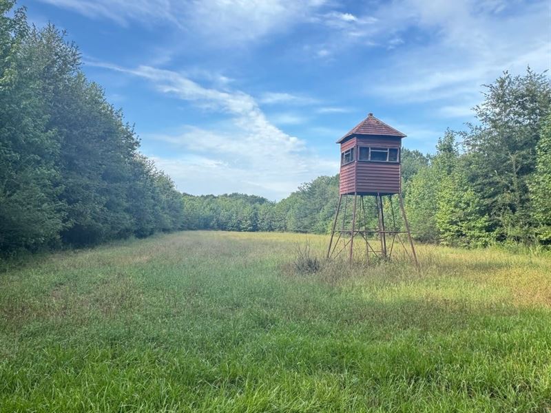398 Acres Paint Rock River, Marshal : Scottsboro : Jackson County : Alabama