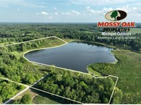 Day Lake, 20.5 Acres : Cassopolis : Cass County : Michigan
