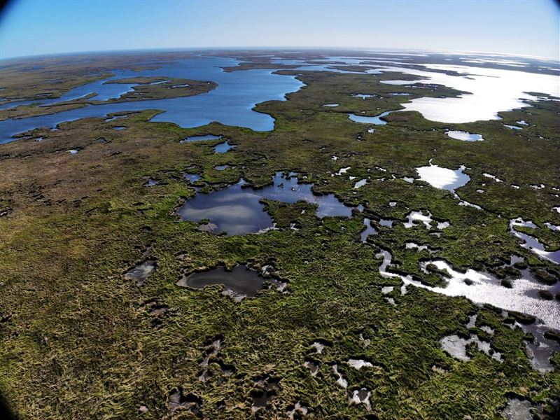 Hopedale Marsh Tracts, St Bernard : Hopedale : Saint Bernard Parish : Louisiana