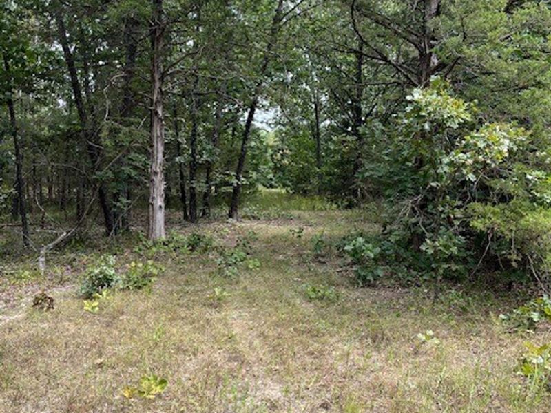 Oak Forest Road : Bland : Gasconade County : Missouri