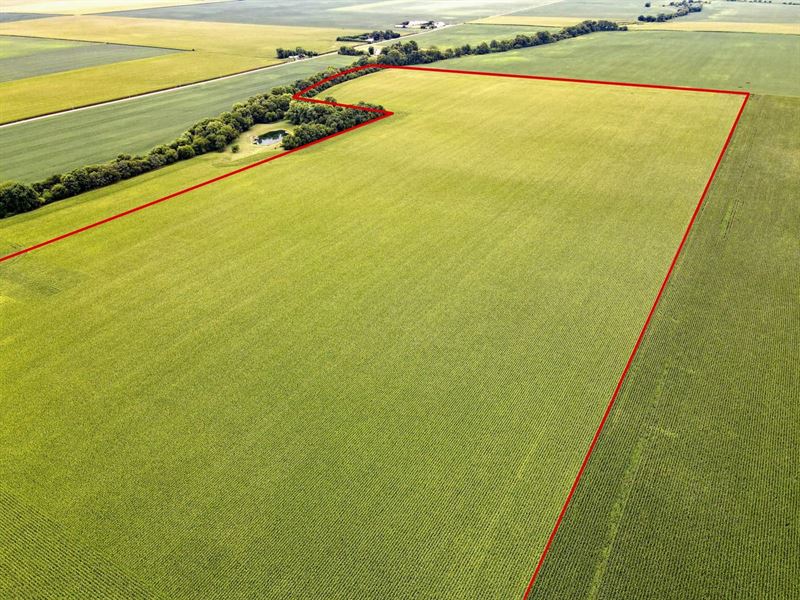 Class A Tillable Tract for Sale Edg : Chrisman : Edgar County : Illinois