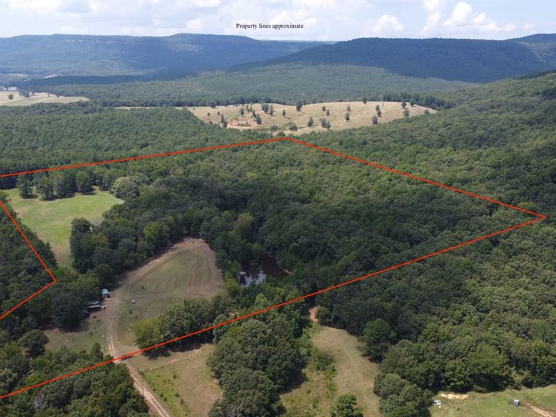 Wetsu Hunting Camp 41 : Clarksville : Johnson County : Arkansas