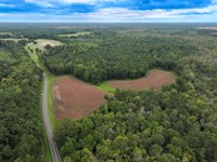 Off Stocking Head Road : Rose Hill : Duplin County : North Carolina