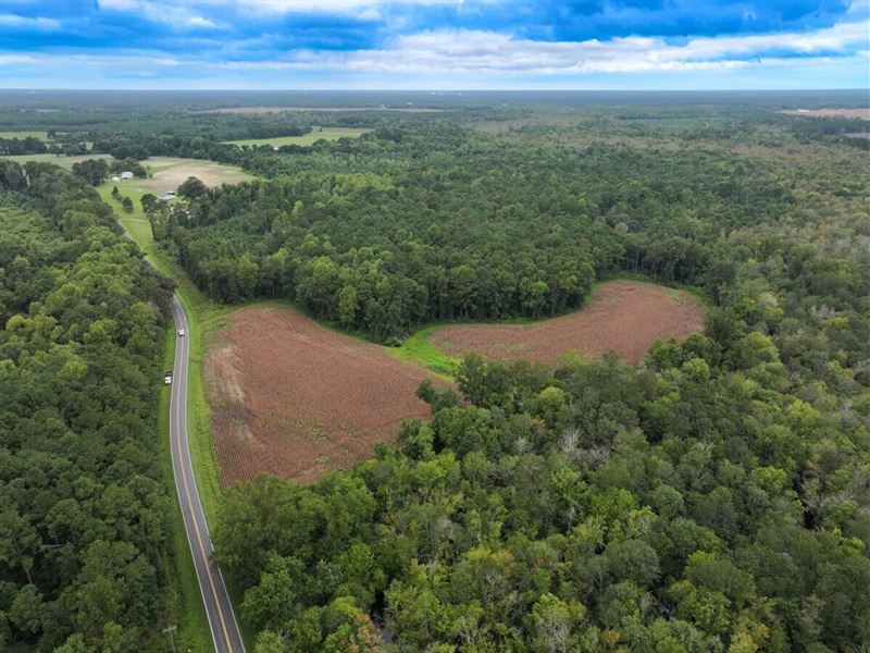 Off Stocking Head Road : Rose Hill : Duplin County : North Carolina