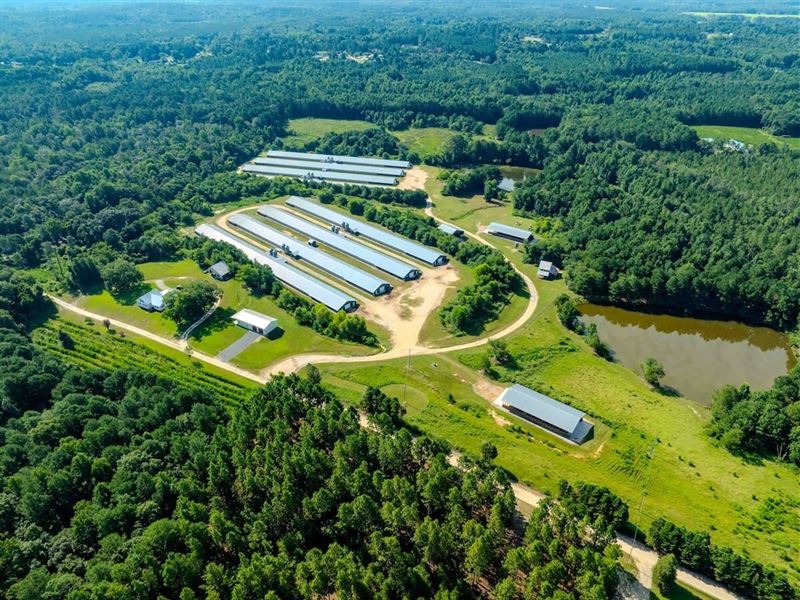 45 Acre Turnkey Poultry Farm for Sa : Linden : Harnett County : North Carolina