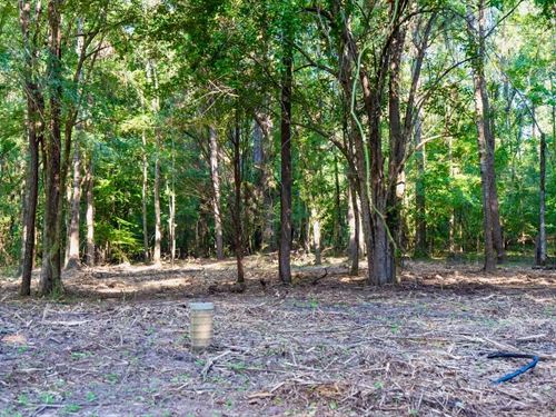 Affordable Multi-Use Recreational : Marion : Union Parish : Louisiana