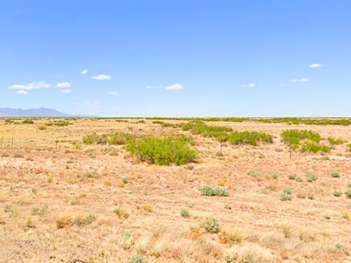 Affordable Stunning Vacant Lot : Deming : Luna County : New Mexico