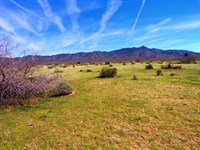 No Restrictions, Endless Potential : Golden Valley : Mohave County : Arizona
