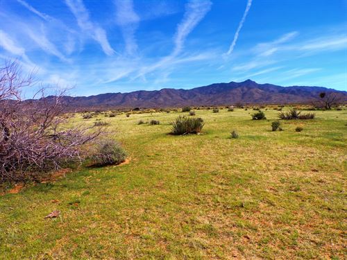 No Restrictions, Endless Potential : Golden Valley : Mohave County : Arizona