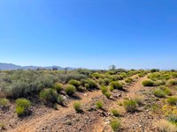 Open Land, Great for Off Road Fun : Golden Valley : Mohave County : Arizona