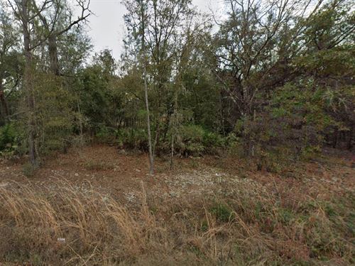 Zoned for Two Homes, Only $182/Mo : Interlachen : Putnam County : Florida