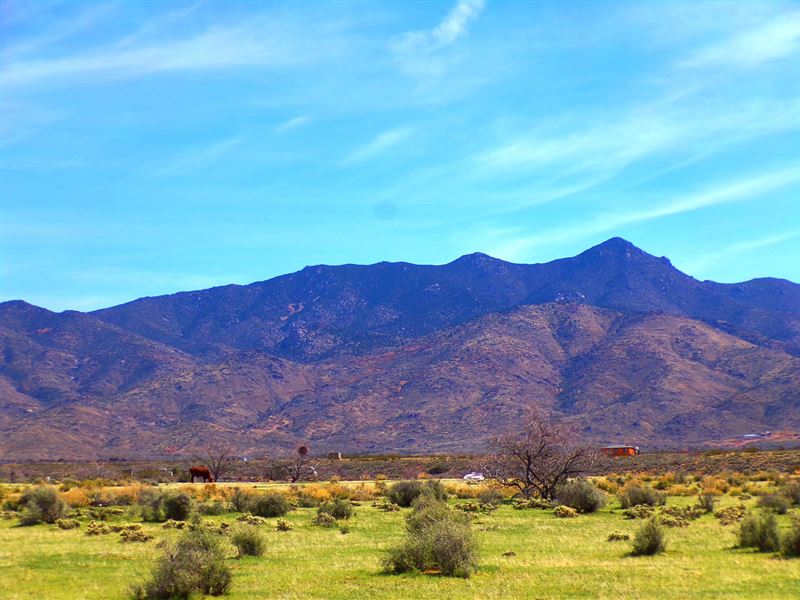 2 Ac Wide-Open Space in Chloride AZ : Golden Valley : Mohave County : Arizona