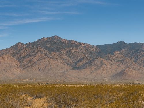 1.25 Acre Tiny Home Retreat : Dolan Springs : Mohave County : Arizona