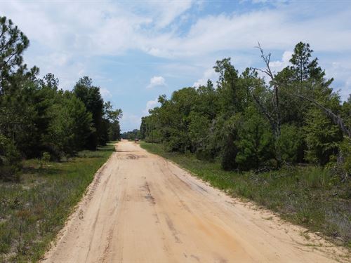 Flat Lot with Nearby Water & Power : Interlachen : Putnam County : Florida